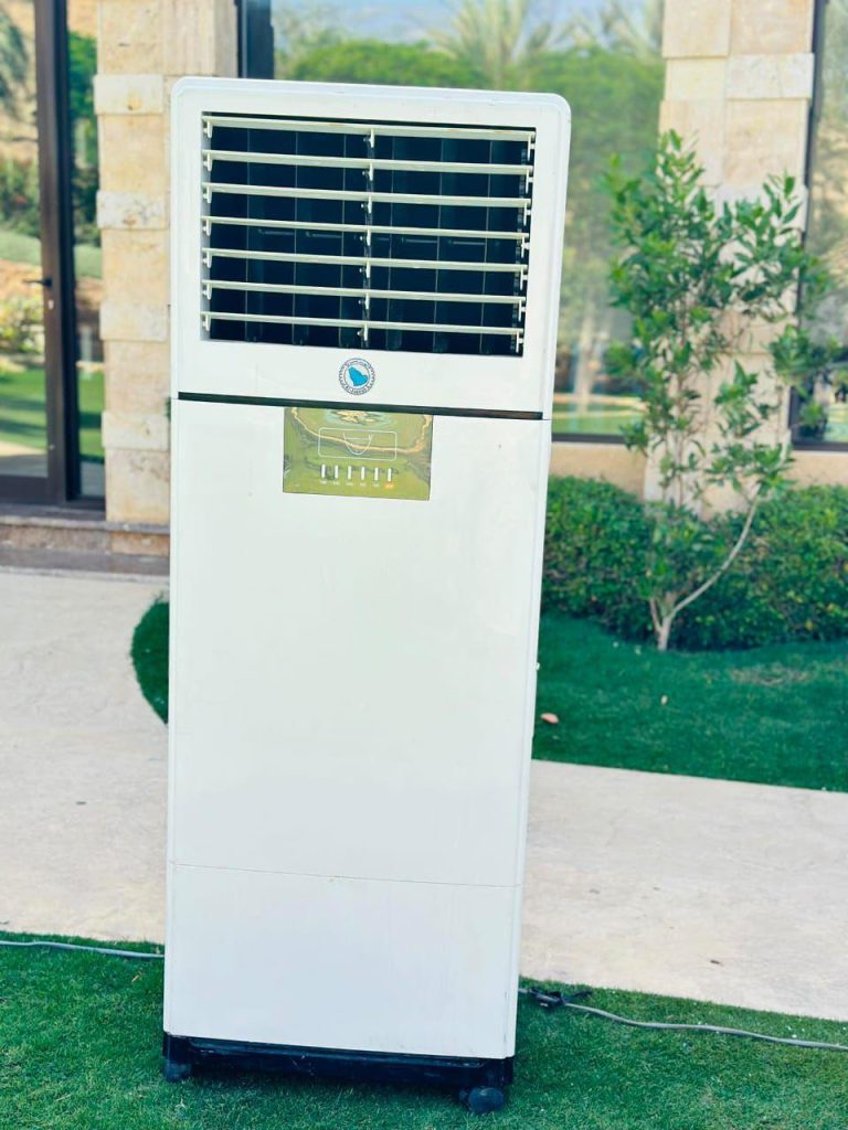 WhatsApp Image 2026 02 07 at 3 39 25 PM 1 768x1024